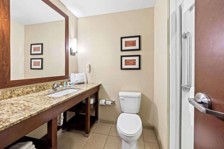 1 King Bed Suite (8 of 11)