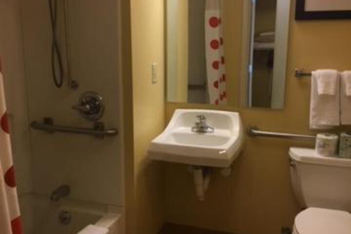 1 Queen Bed Mobility Accessible Hearing Impaired Studio Suite (11 of 23)