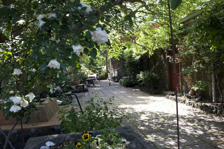 Property Grounds 29 of 37