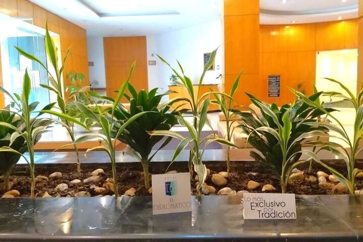 Entrance & Lobby