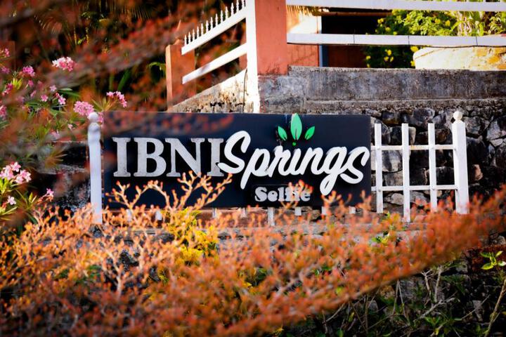Ibni Springs