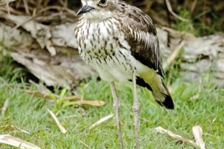 Hotel Exterior 29 of 62