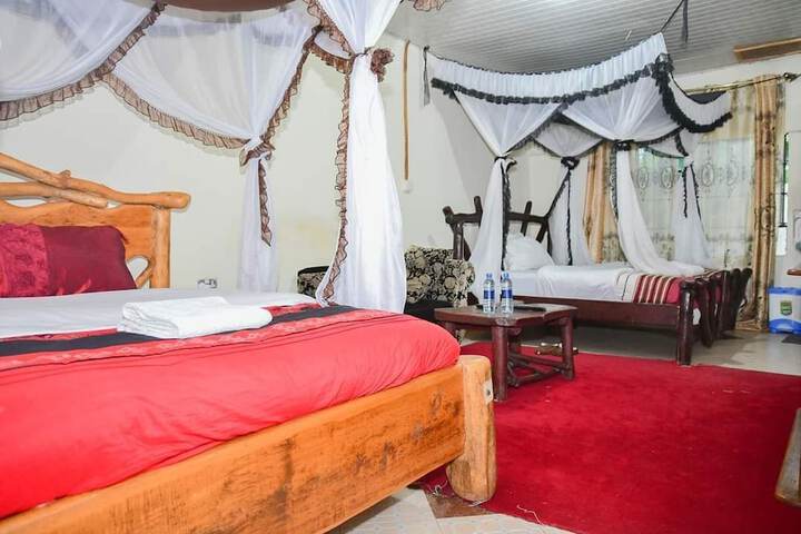 Room 4 of 53