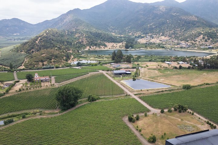 Vineyard