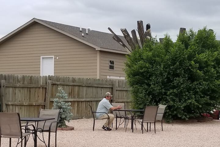 BBQ/picnic area
