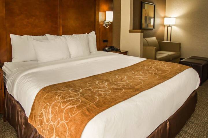 Suite 2 Queen Beds (1 of 51)
