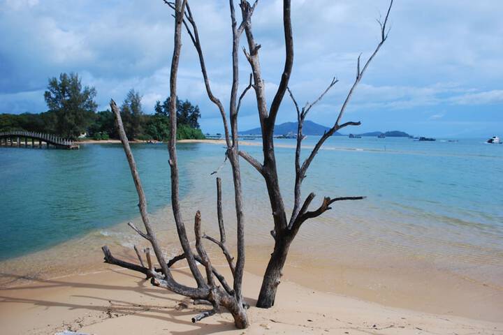 Beach 18 of 22