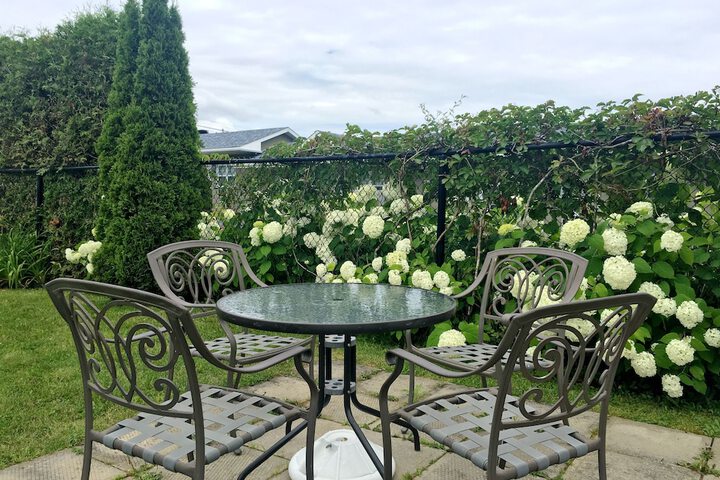 Terrace/Patio 50 of 59