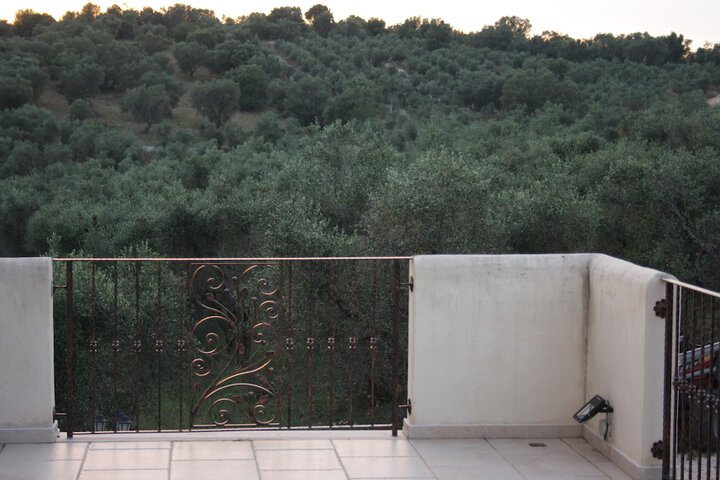 Terrace/Patio 25 of 31