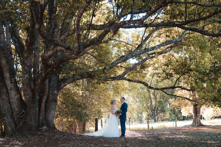 Outdoor wedding area