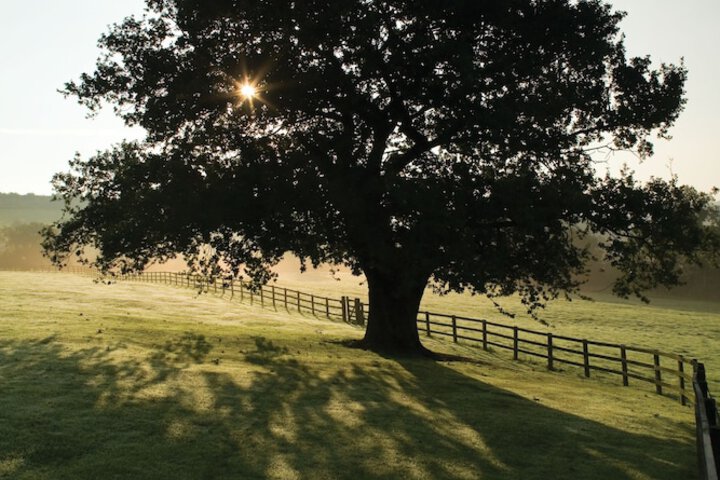 Property Grounds 19 of 22