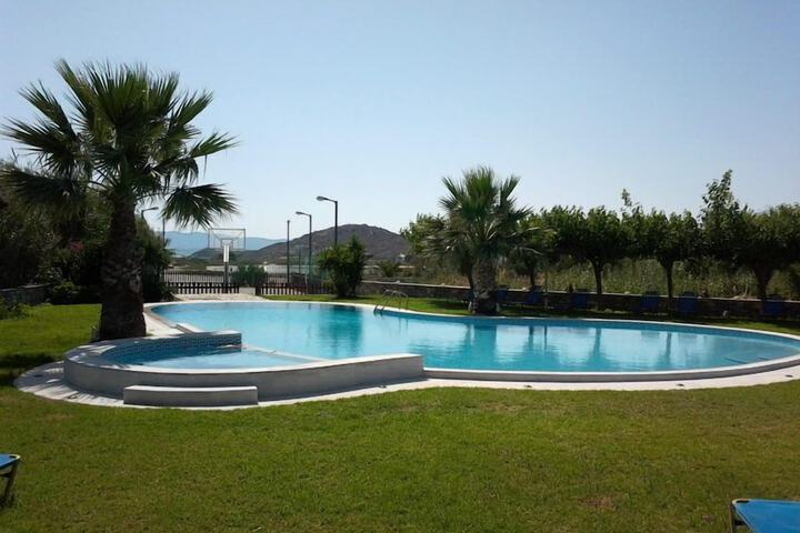 Hotel Pool