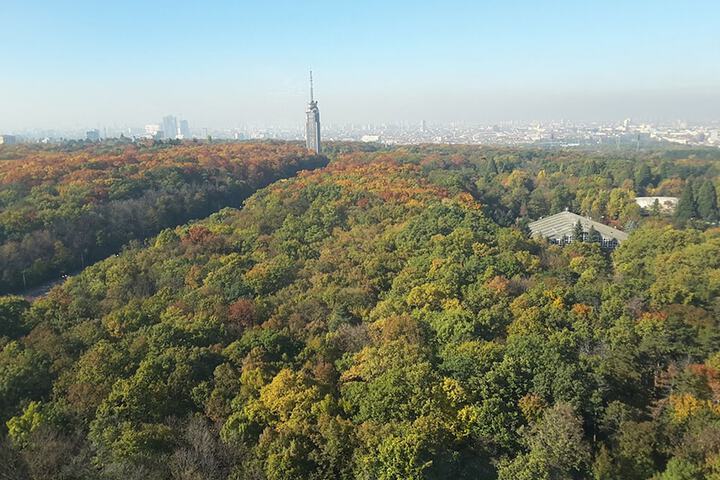 View from room