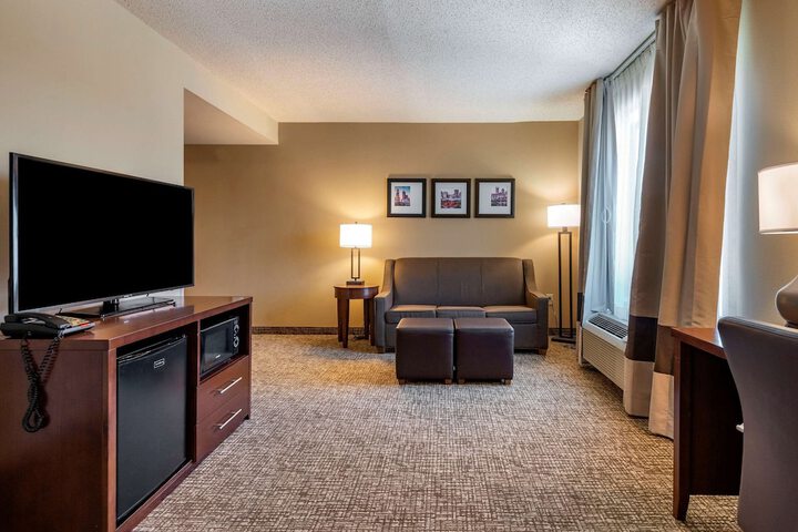 1 King Bed Suite (8 of 30)