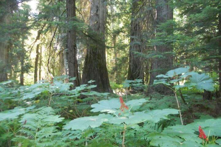 Outdoor Activities 100 of 188