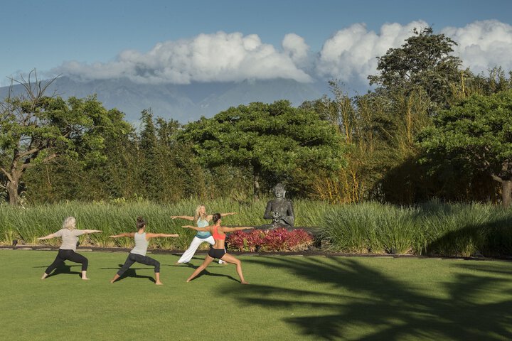 Property Grounds 68 of 82