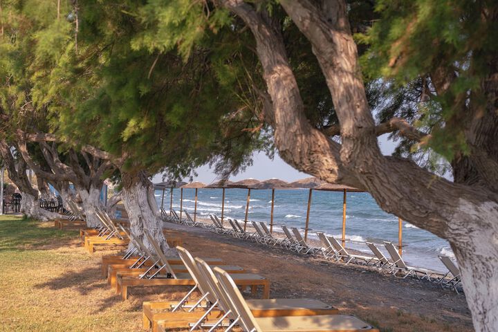 Beach 56 of 82