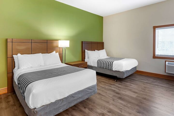Accessible 2 Double Mobility Accessible Walksh Fullkt High Speed Full Breakfast (5 of 11)