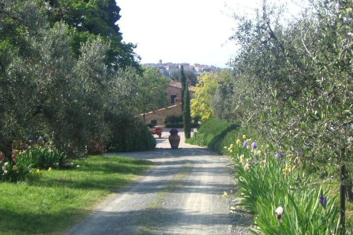 Photo 30