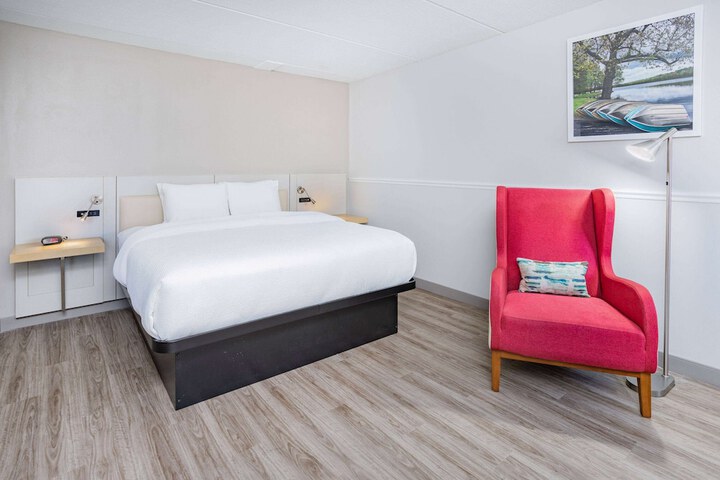 1 King Bed (3 of 19)