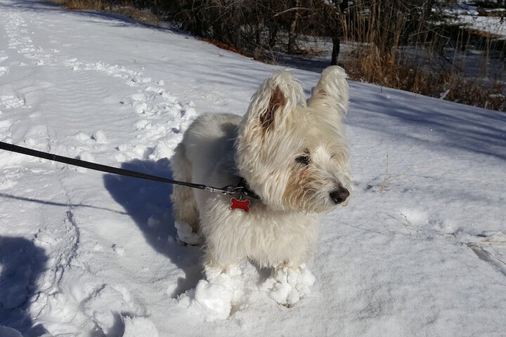 Outdoor Activities 38 of 64