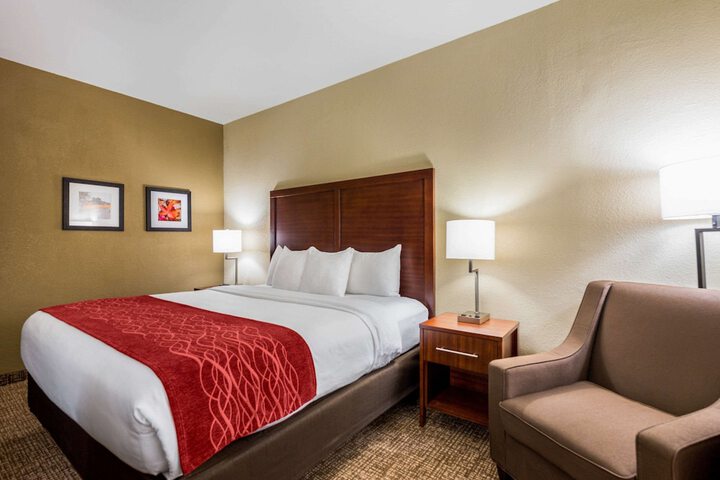 1 King Bed (5 of 16)