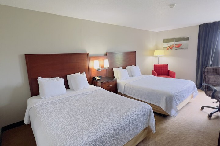 Double Accessible King Size Bed (3 of 5)