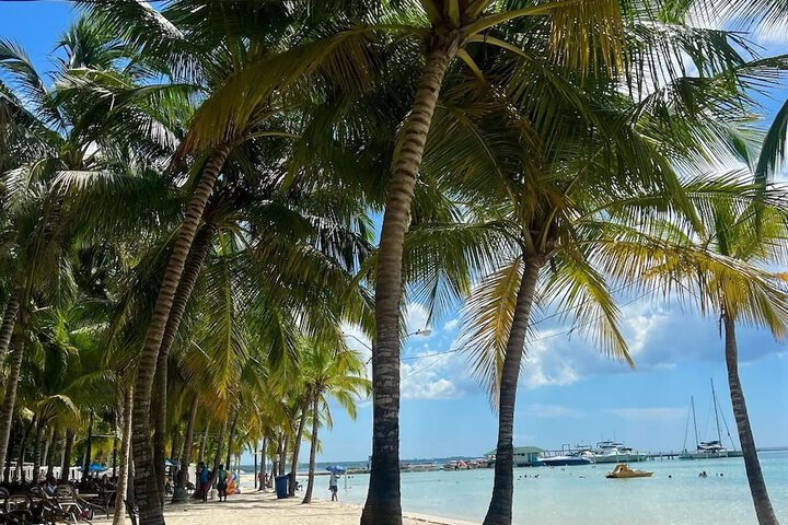 Beach 19 of 22