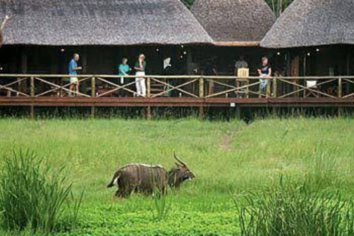 Image of Makhasa Private Game Lodge