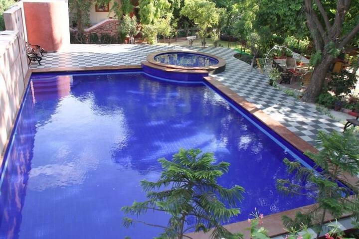 Pool to Cool