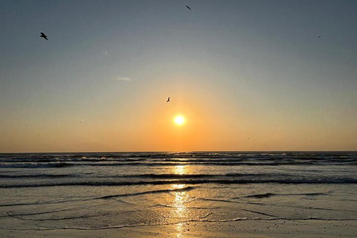 Excelsior Apartaments Mamaia Nord