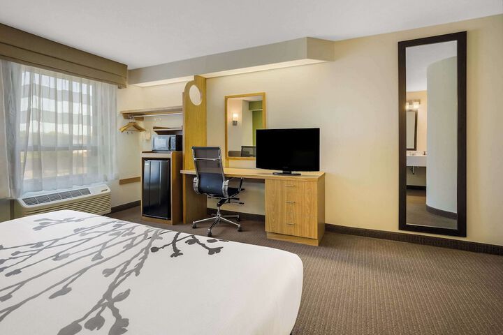 1 King Bed (1 of 11)
