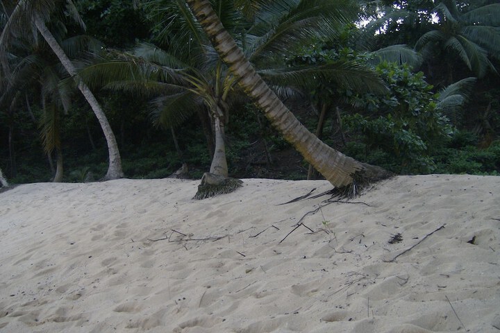 Beach 32 of 55