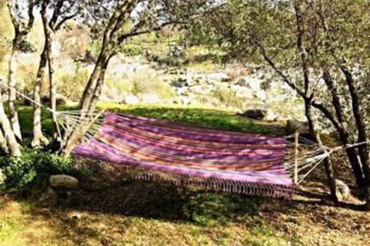 Property Grounds 29 of 38