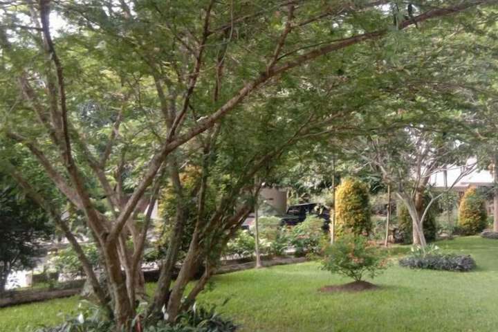 Property Grounds 17 of 17