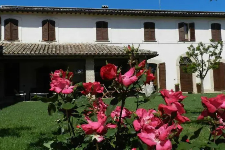 Exterior of BB MAMMAROSA