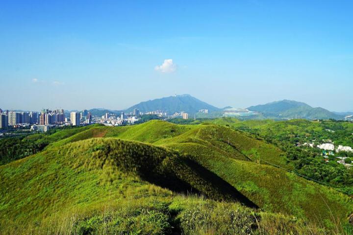 Shenzhen Maoxiang Hotel (Wutongshan Scenic Area)