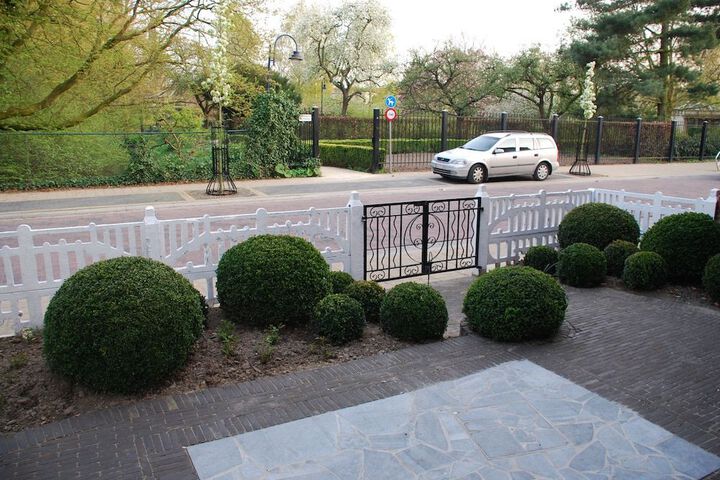 Photo 12