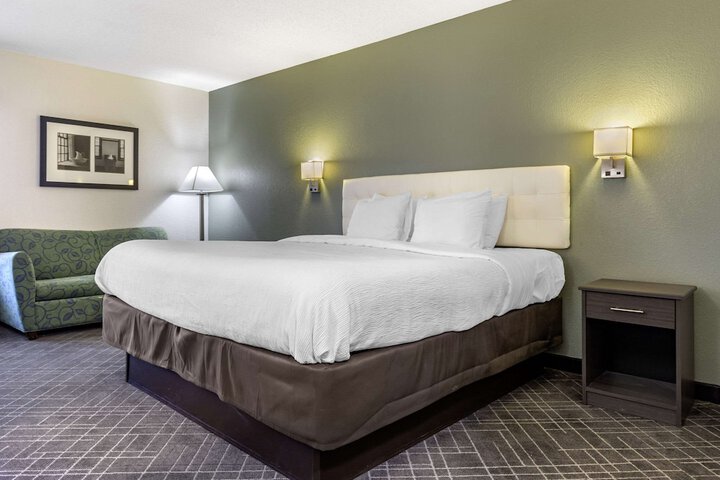 1 King Bed (11 of 11)