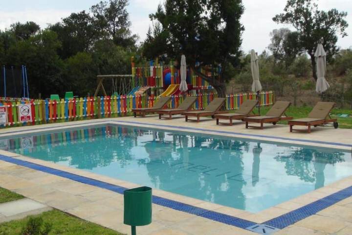 Pool 16 of 26