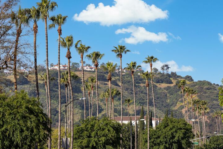 Land view from property