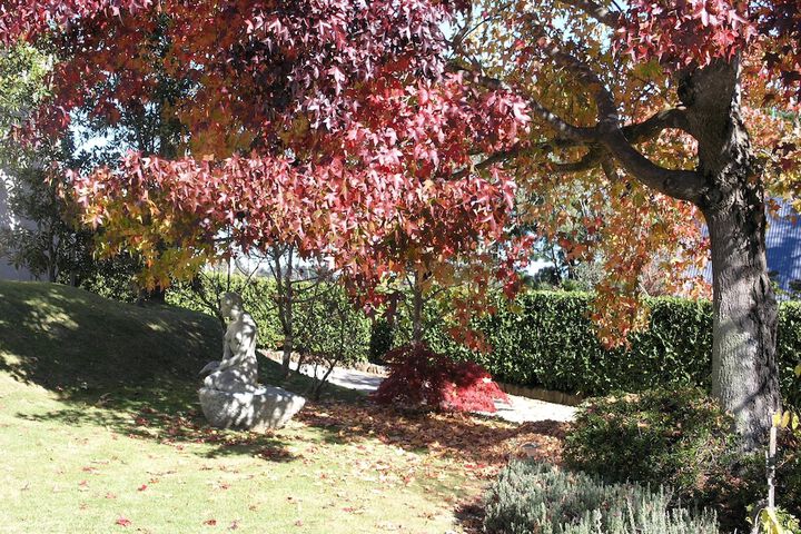 Property Grounds 40 of 56