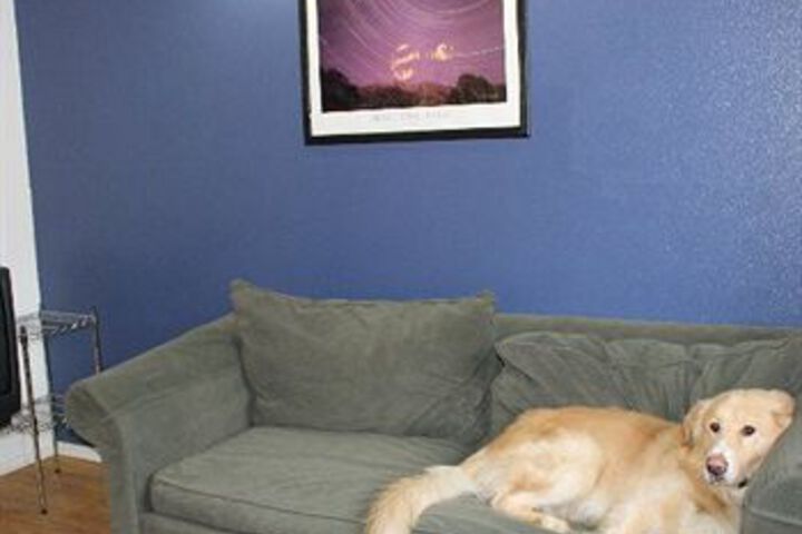 Pet Friendly 27 of 30