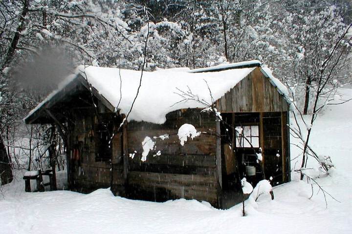 Property Grounds 14 of 32