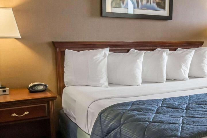 1 King Bed (4 of 8)
