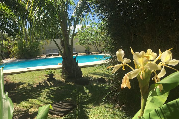 Hotel Pool