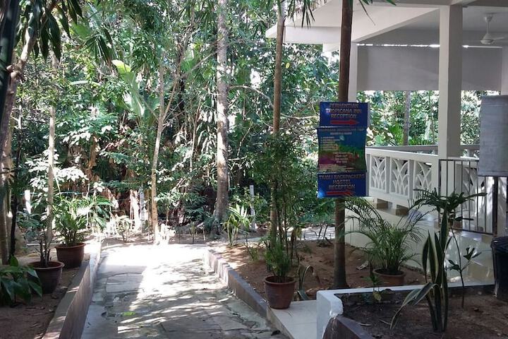 Property Grounds 18 of 34