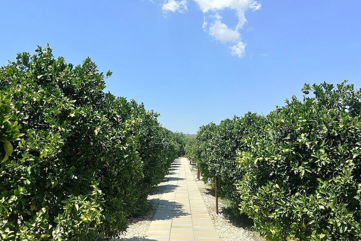 Hotel 102 of 109