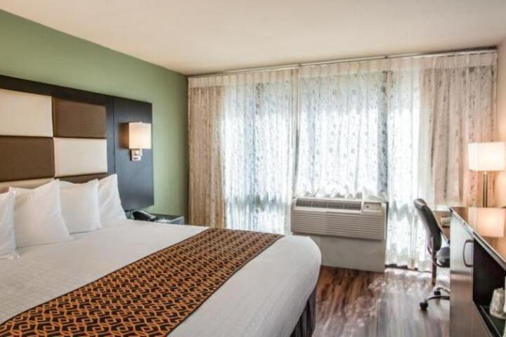 1 King Bed (8 of 12)