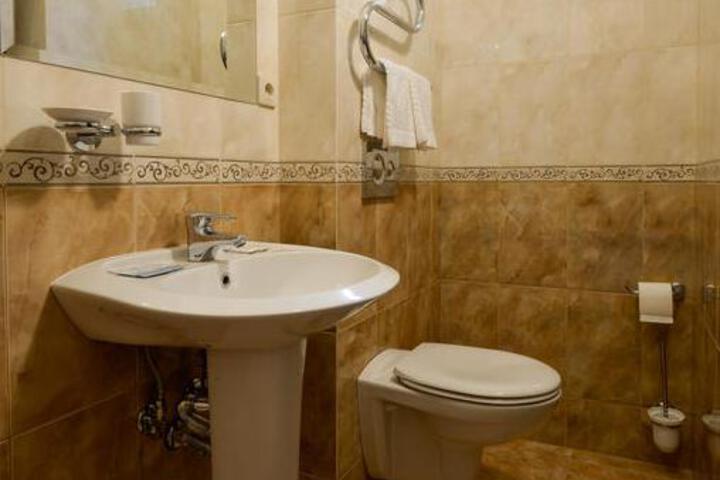 Hotel Romanov